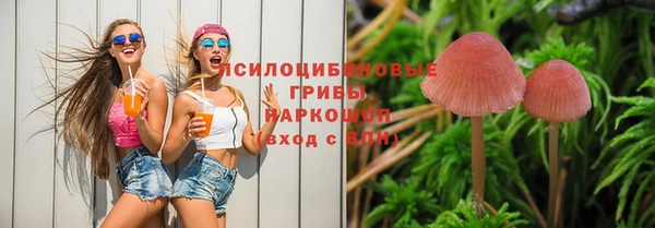 мдма Лагань