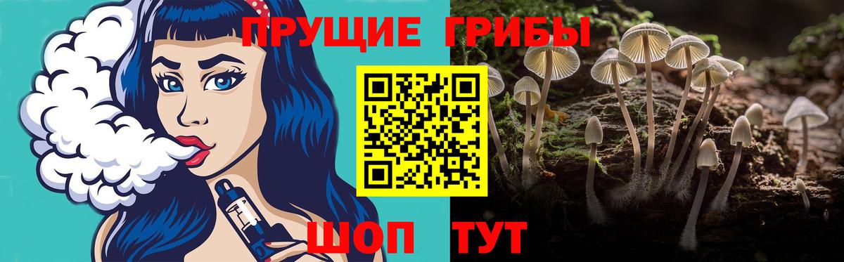 Галлюциногенные грибы мицелий  Вход с VPN  Хасавюрт  Галлюциногенные грибы GOLDEN TEACHER 